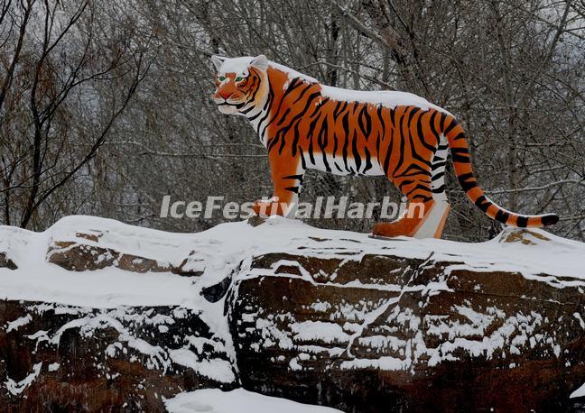 Harbin Siberian Tiger Park