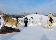 Snow Sculptures of Harbin Snow Sculpture Art Expo 2014: Polar Animals