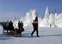 A Man and His Sled Dogs Walk in Front of a Giant Snow Sculpture in Harbin