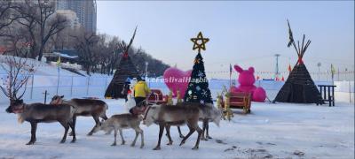 Harbin Songhua River Ice and Snow Carnival 2025