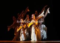 Harbin Summer Music Concert Dance Performance