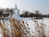 Harbin Sun Island International Snow Sculpture Art Expo 2017