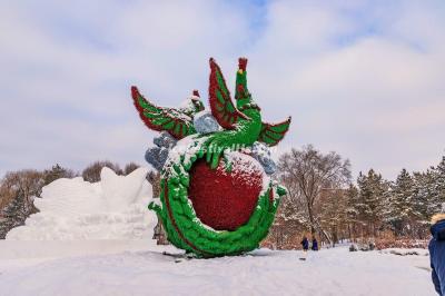 Harbin Sun Island International Snow Sculpture Art Expo 2020