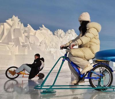 Harbin Sun Island International Snow Sculpture Art Expo 2023
