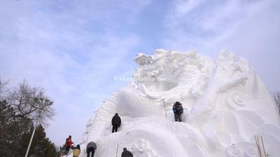 Harbin Sun Island International Snow Sculpture Art Expo 2024