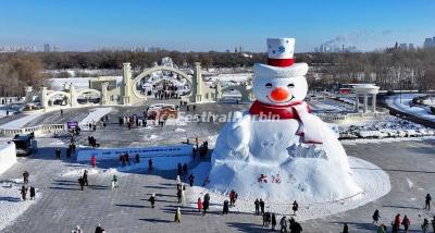 Harbin Sun Island International Snow Sculpture Art Expo 2024