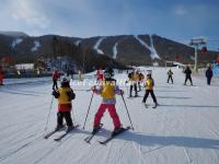 Harbin Skiing