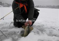 Harbin Winter Fishing