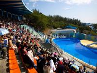 Hong Kong Ocean Park