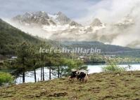 Jade Dragon Snow Mountain