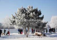 Jilin Rime