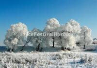 Jilin Rime