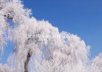 Jilin Rime