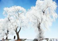 Jilin Rime