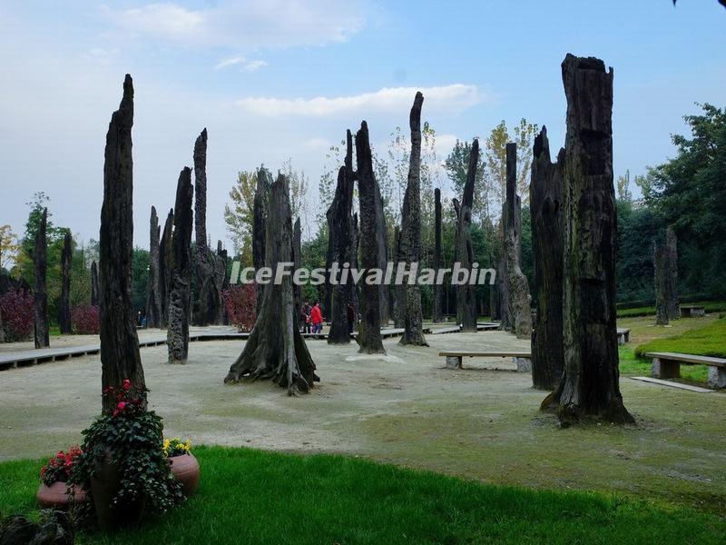 Jinsha Site Museum Ebony Forest