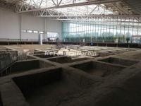 Jinsha Site Museum 