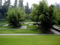 Jinsha Site Museum Courtyard 