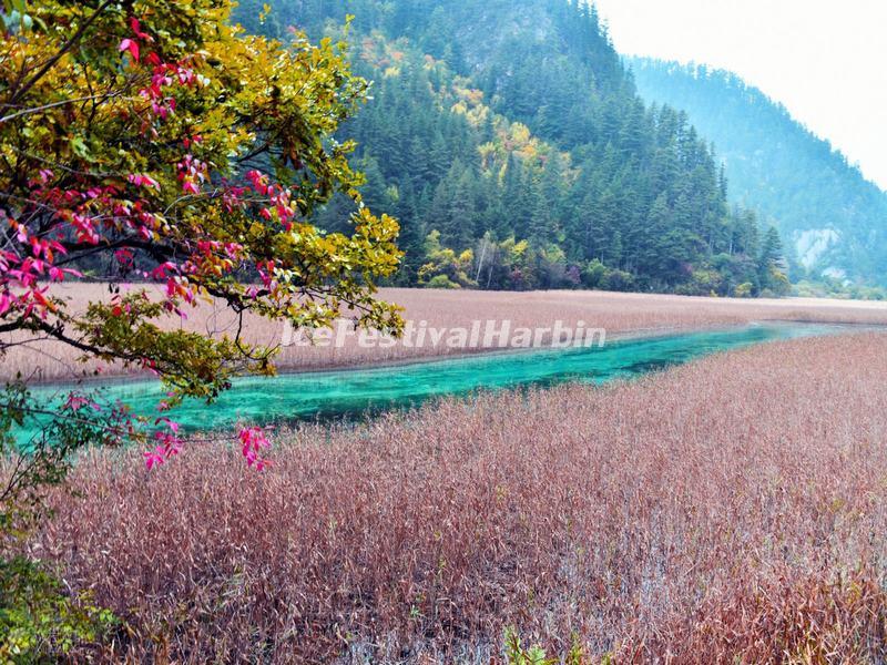 jiuzhaigou private tour