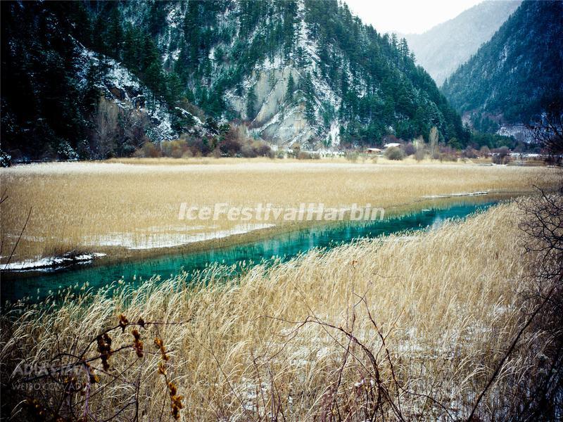 Jiuzhaigou Valley Reed Lake