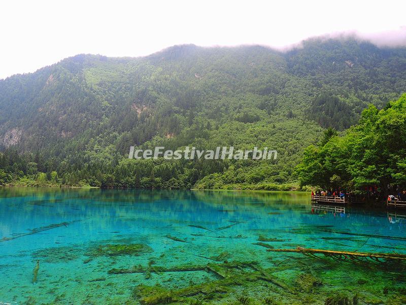Jiuzhaigou Valley Five Flower Lake 