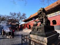 A Stone Lion in Beijing Lama Temple 