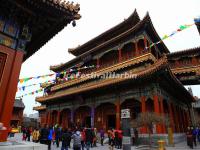 Lama Temple 