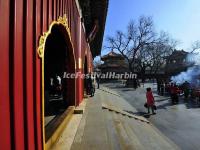 Lama Temple 