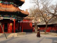 Lama Temple 