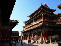 Lama Temple 