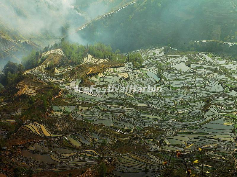 Laohuzui Rice Terraces in Fog