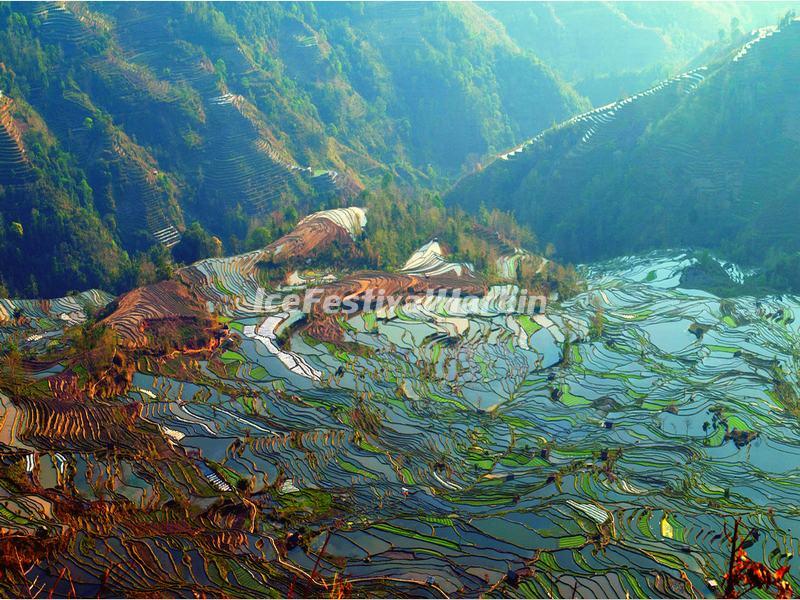 Yuanyang Laohuzui Rice Terraces 