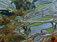 The Honghe Hani Rice Terraces in Laohuzui, Yuanyang