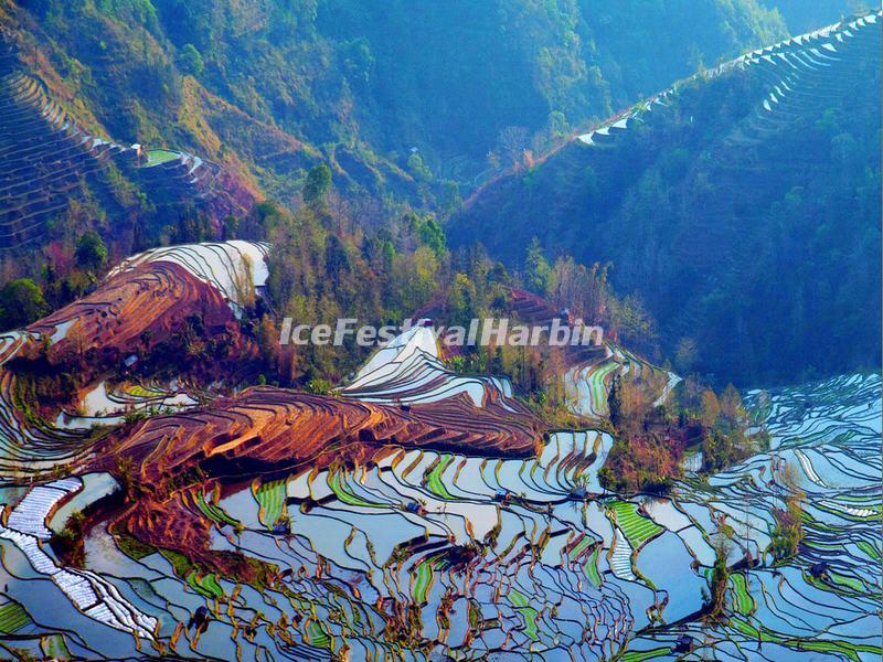 The Laohuzui Rice Terraces at Yuanyang Laohuzhui Scenic Area