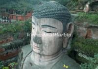 Head of the Leshan Giant Buddha