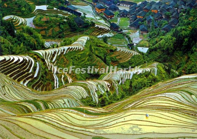 Longsheng Rice Terrace 