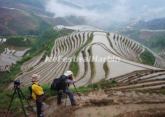 The Flooded Longsheng Rice Terraces 