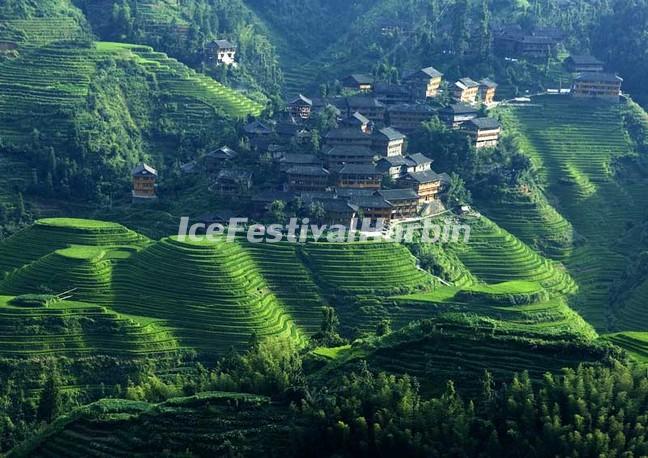 Longsheng Rice Terrace in Summmer