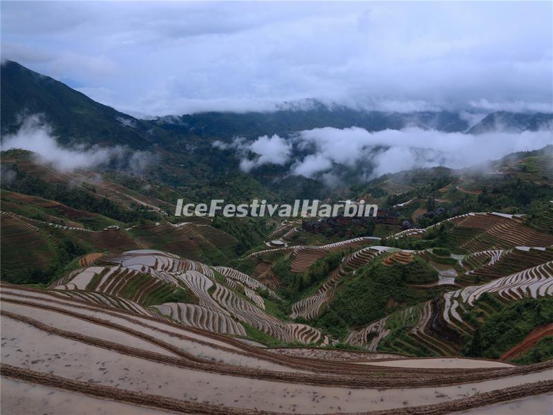 Longsheng Rice Terraces in Mist