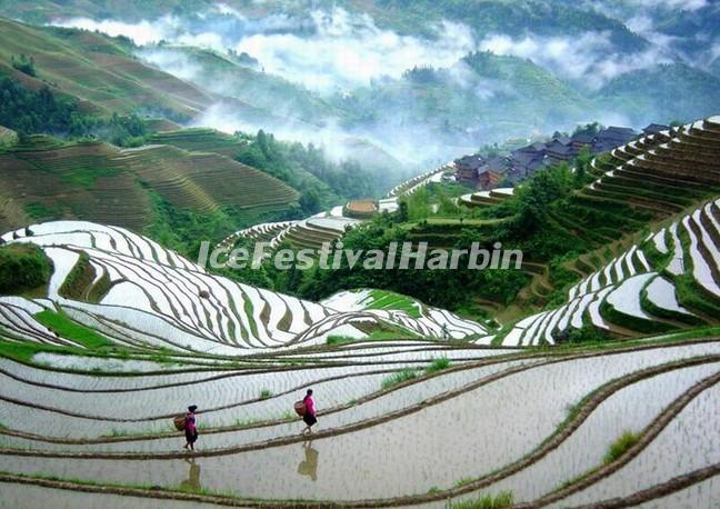 Longsheng Rice Terrace 