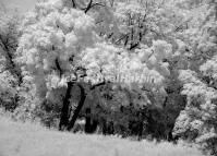 Beautiful Rime in Harbin Longzhu Erlongshan Scenic Area 