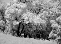 Beautiful Rime in Harbin Longzhu Erlongshan Scenic Area 