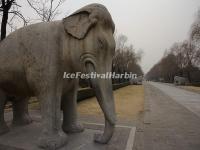 Ming Tombs Sacred Way Stone Carving-Elephant 