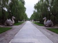 Ming Tombs Sacred Way Stone Carving-Camels