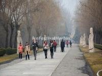 Visit Beijing Ming Tombs Sacred Way