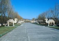 The Sacared Way of Beijing Ming Tombs