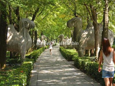 The Nanjing Ming Xiaoling Mausoleum