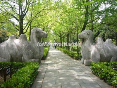 Stone Statues in Nanjing Ming Xiaoling Mausoleum