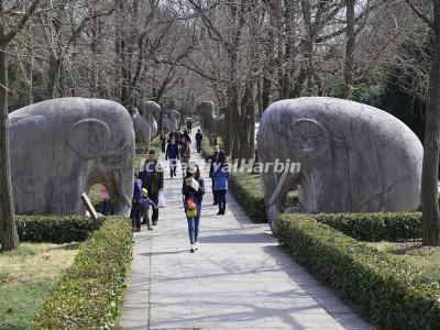  Ming Xiaoling Mausoleum