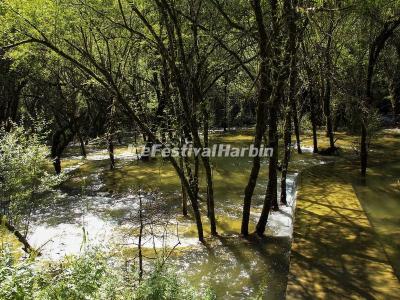 Mounigou Valley Sichuan