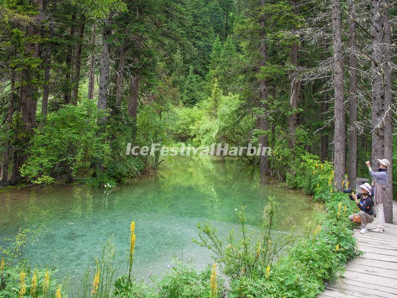 Mounigou Valley